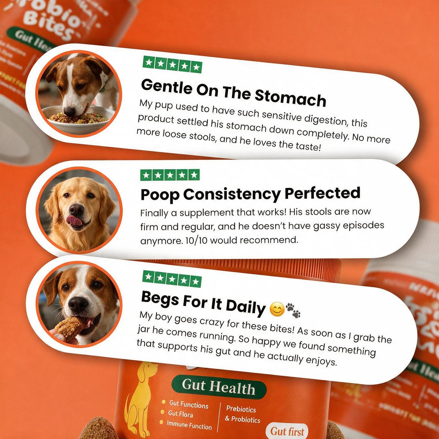 VELORA PROBIOTIC BITES