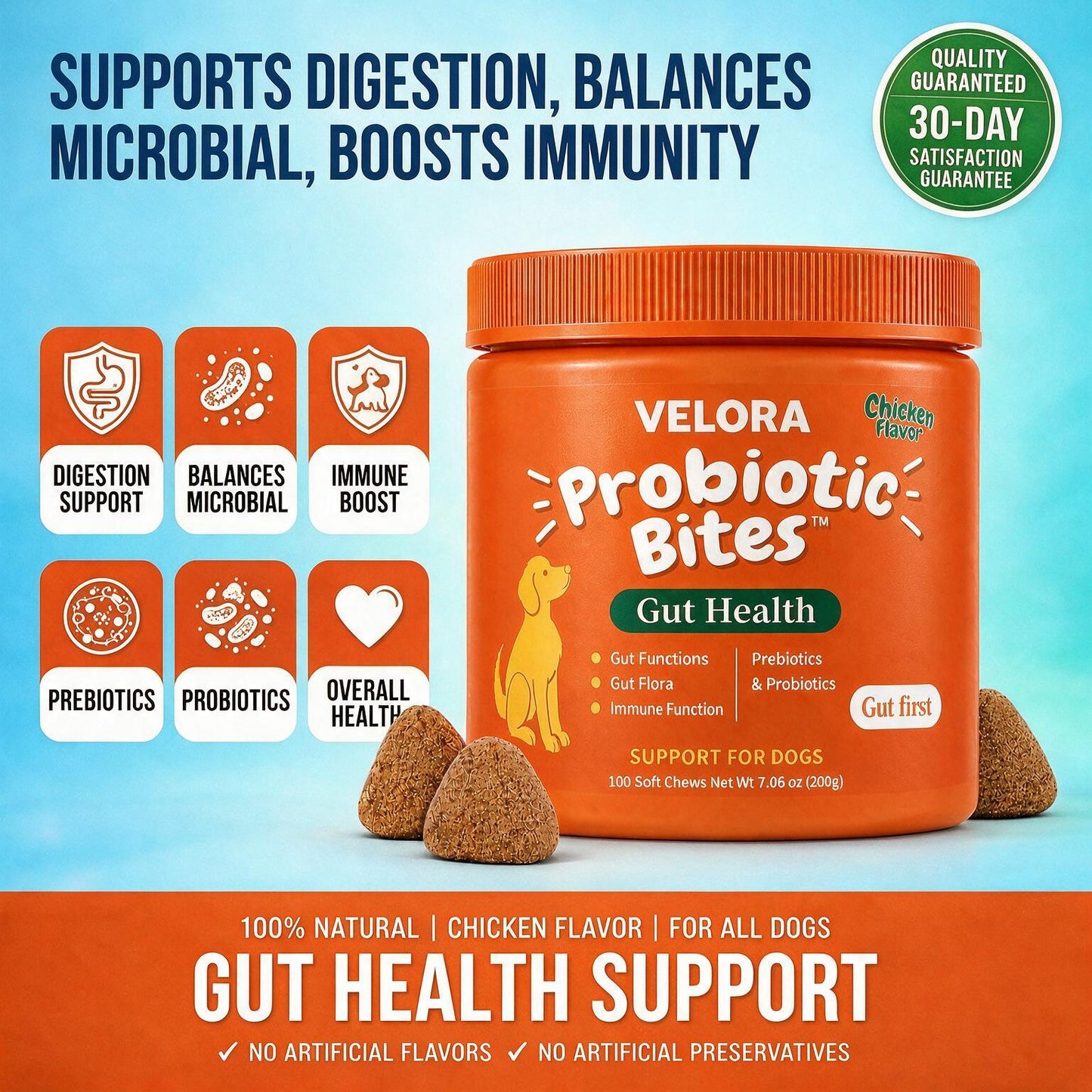 VELORA PROBIOTIC BITES